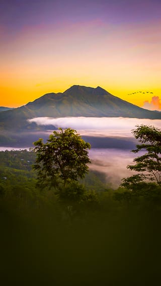 Captivating Bali Tour Package 5 Days 4 Nights