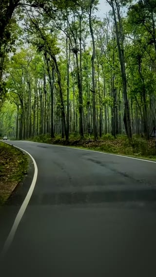 meghalaya-road-trip-new