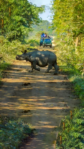 meghalaya-with-kaziranga-road-trip-6n-7d