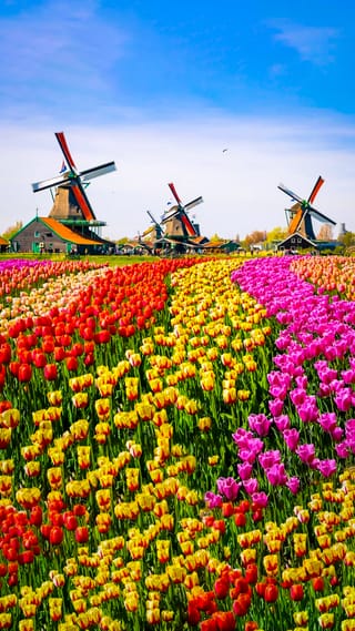 summer-splendid-europe-tour-package-12n-13d