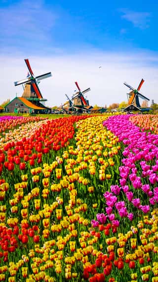 summer-splendid-europe-tour-package-12n-13d