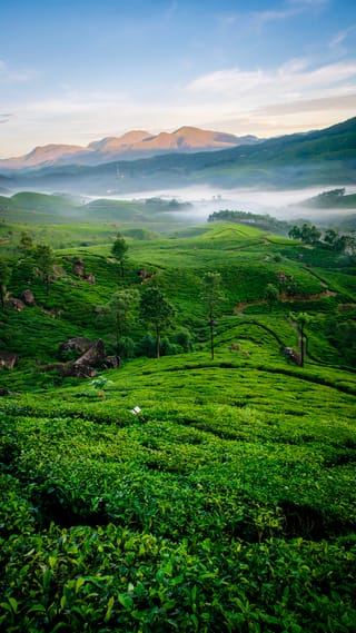 Simply Kerala