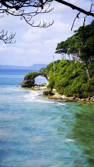andaman-sojourn-with-neil-island-5n-6d