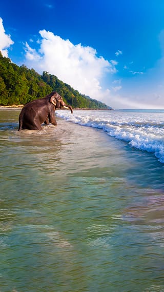 andaman-tour-with-havelock-and-neil-islands-6n-7d