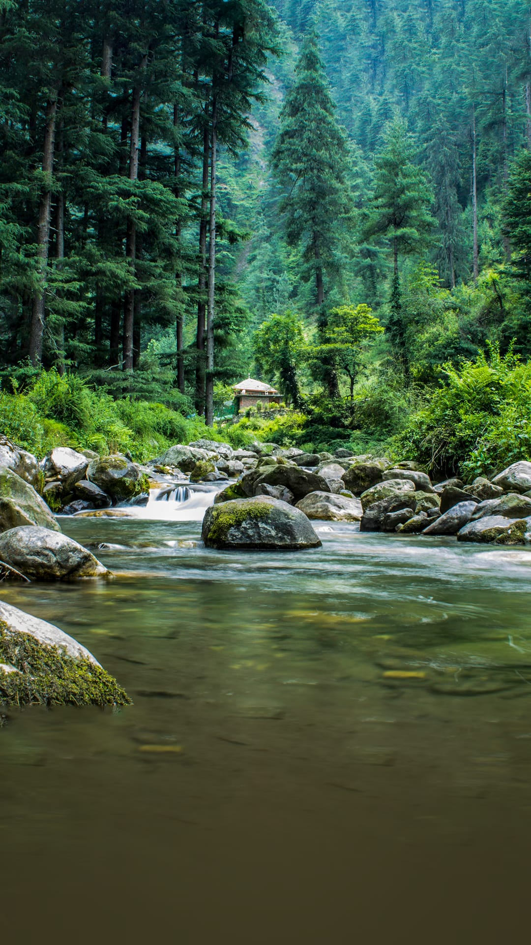 Himachal Pradesh Spring Hot Water Near Me Himachal Pradesh Tour