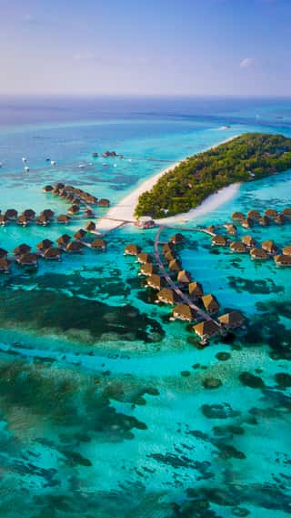 w-maldives
