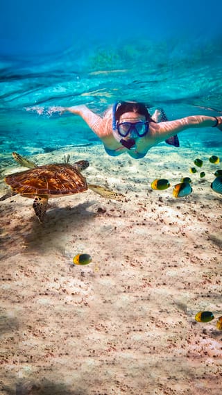 medufushi-island-resort-new1