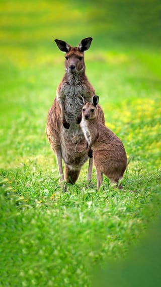 australia-tour-package-10n-11d-new1