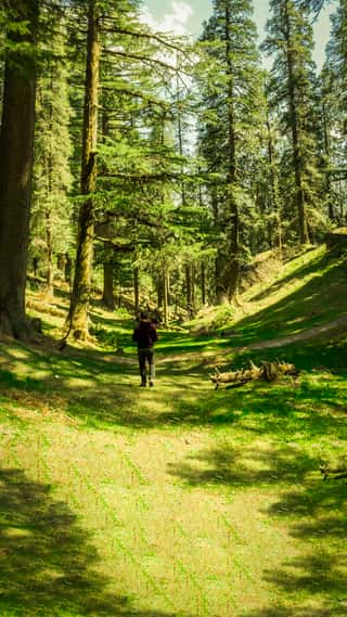 himachal-paradise-new