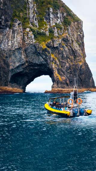 new-zealand-tour-with-north-island-6n-7d-new