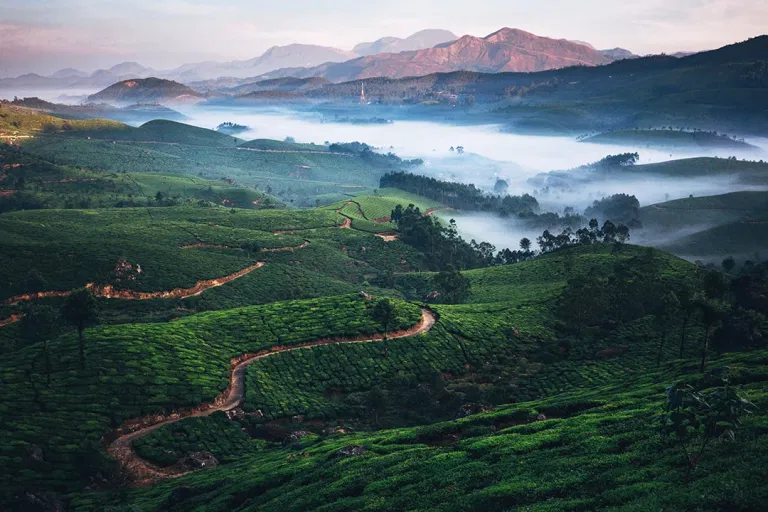munnar-travel-guide