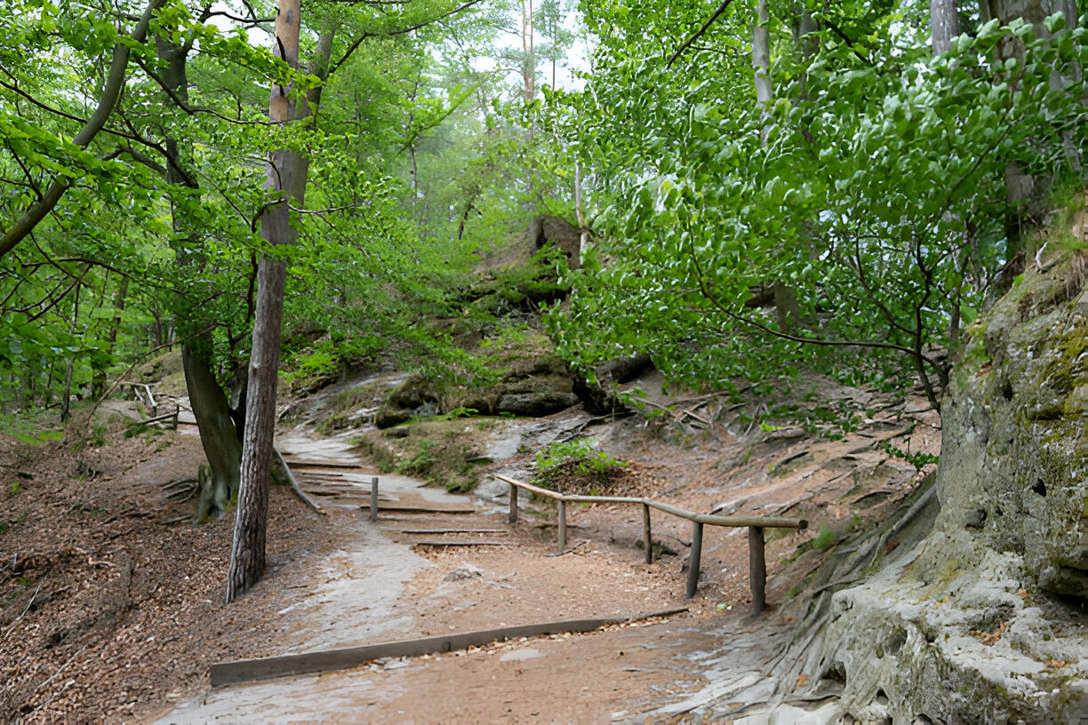 blog-images