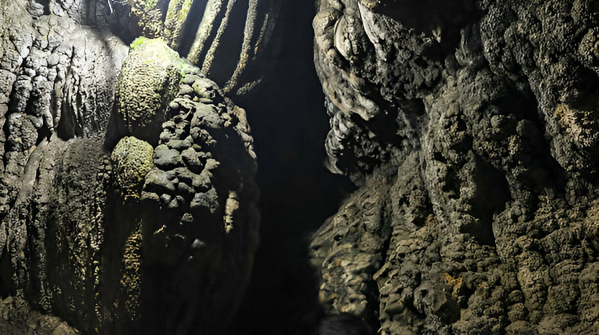 blog-images