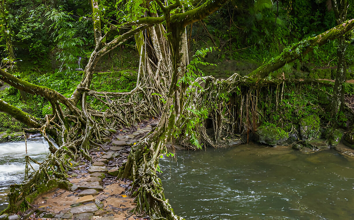 blog-images