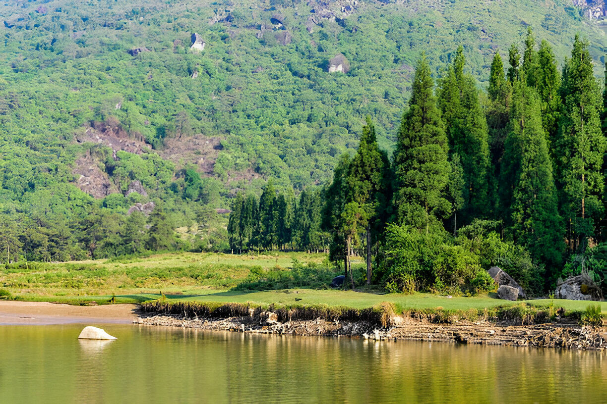 blog-images
