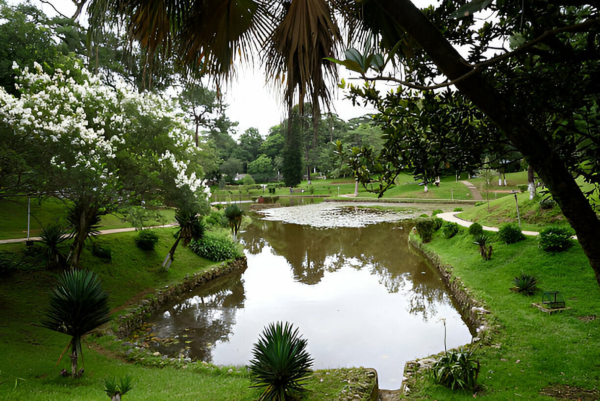 blog-images