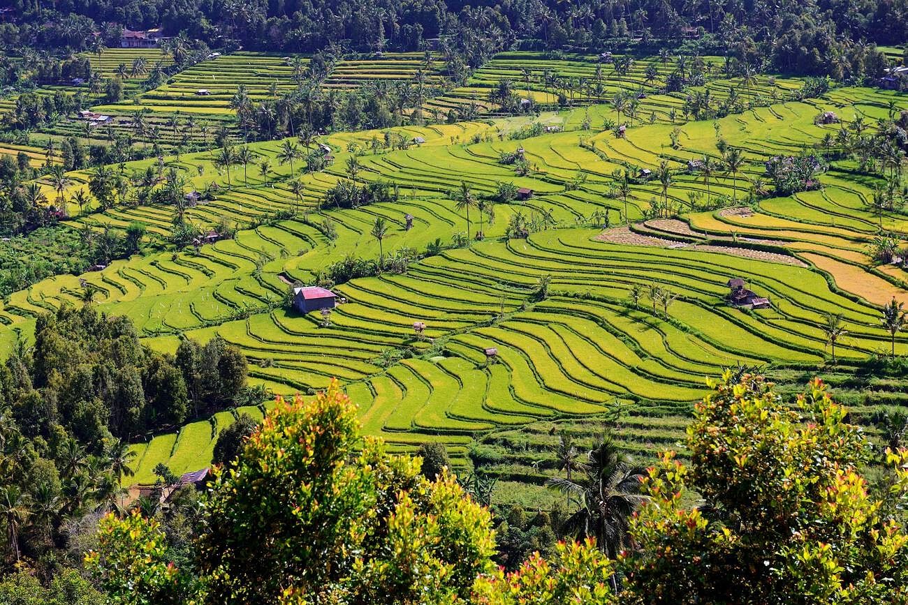best-things-to-do-in-munduk