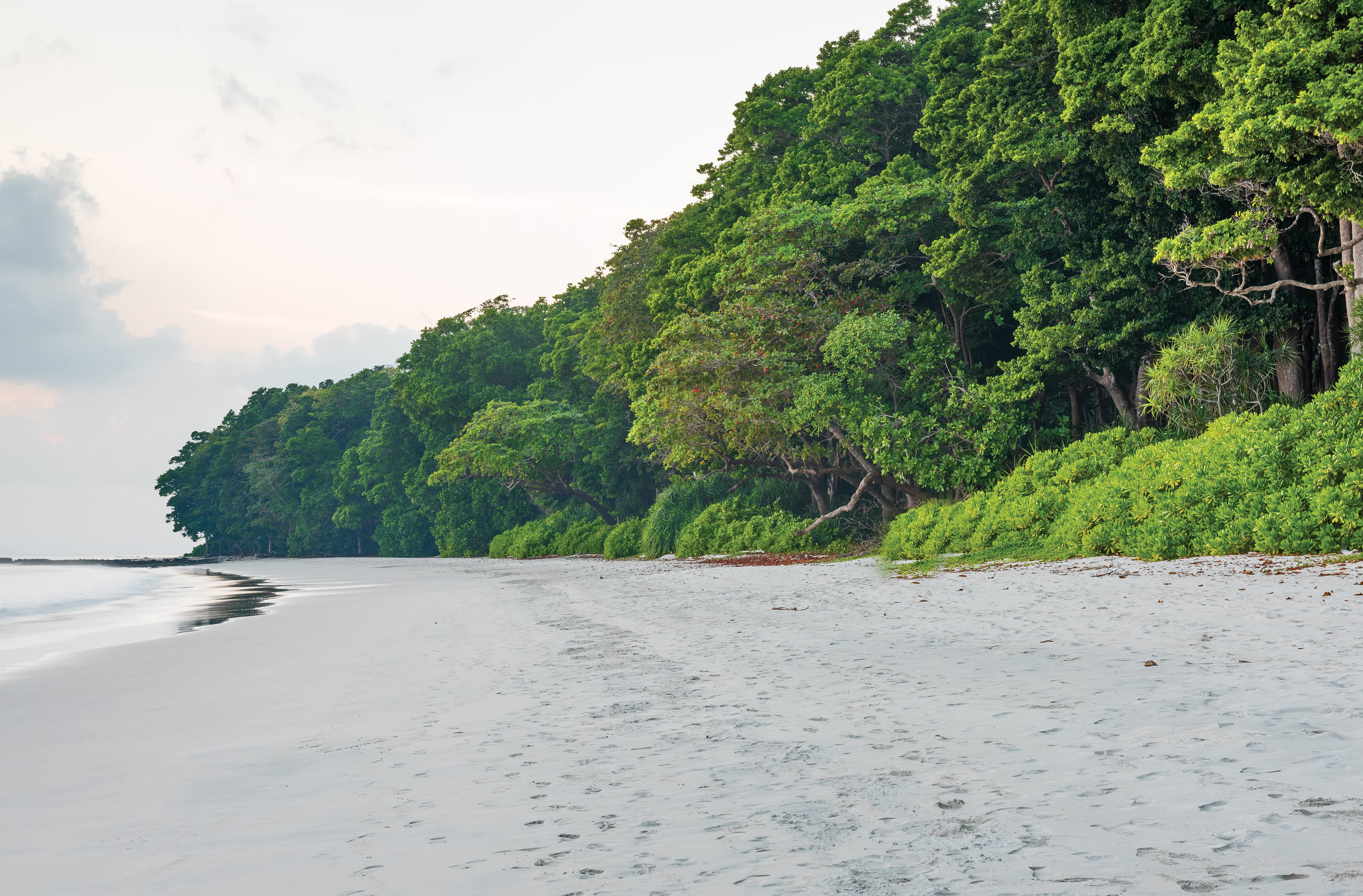 best-beaches-in-neil-island-andaman