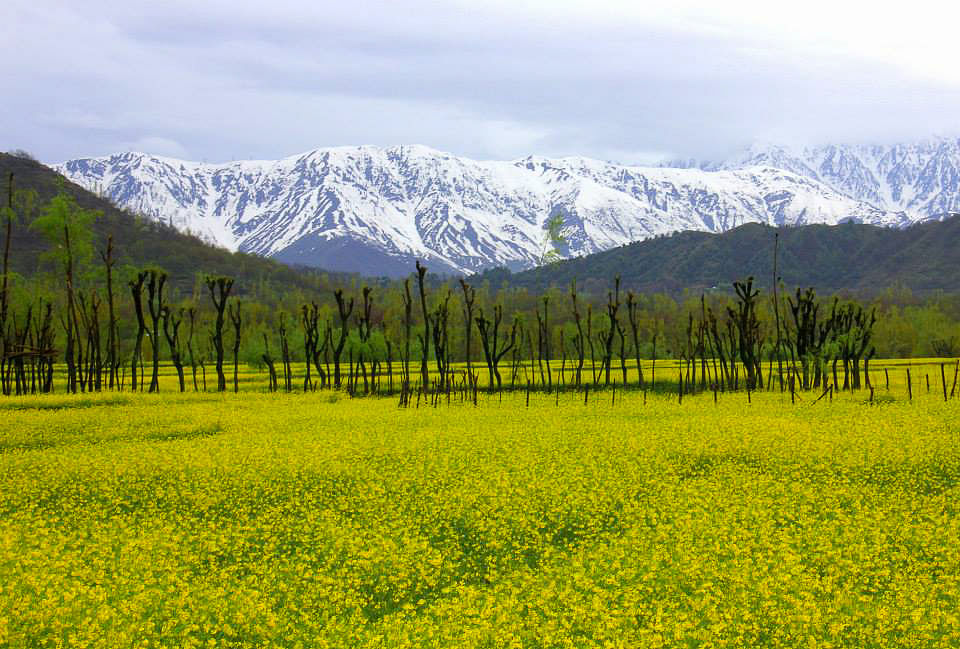blog-images