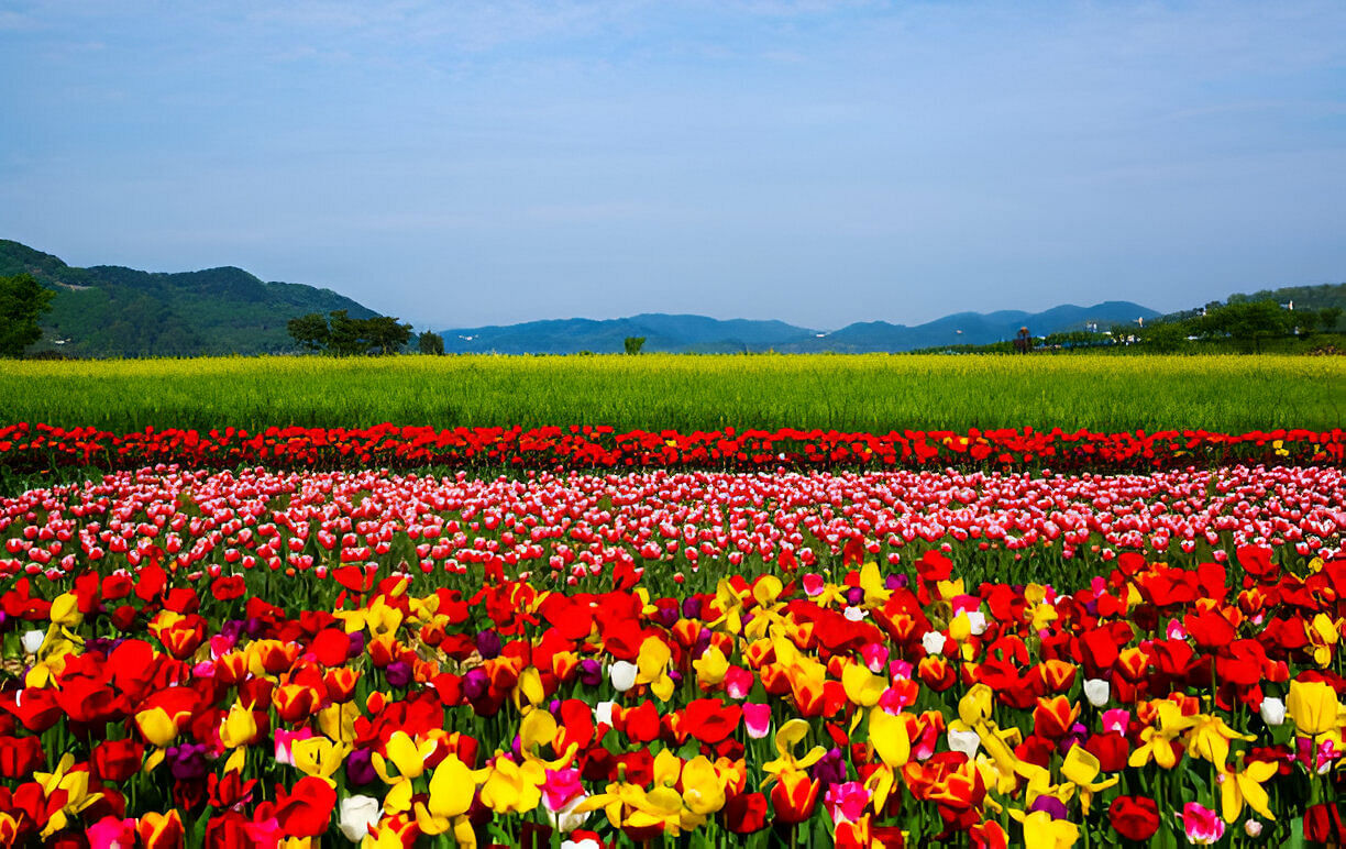 blog-images