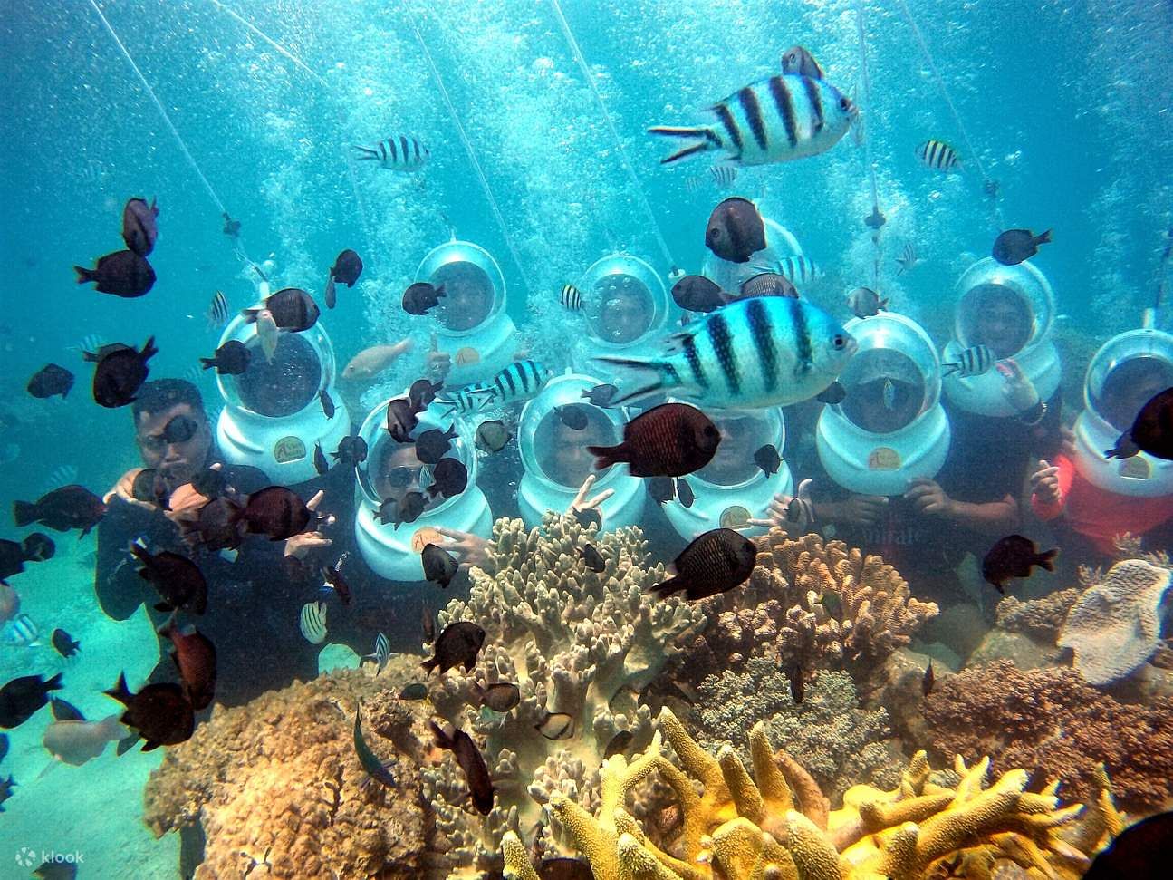 sea-walk-in-andaman