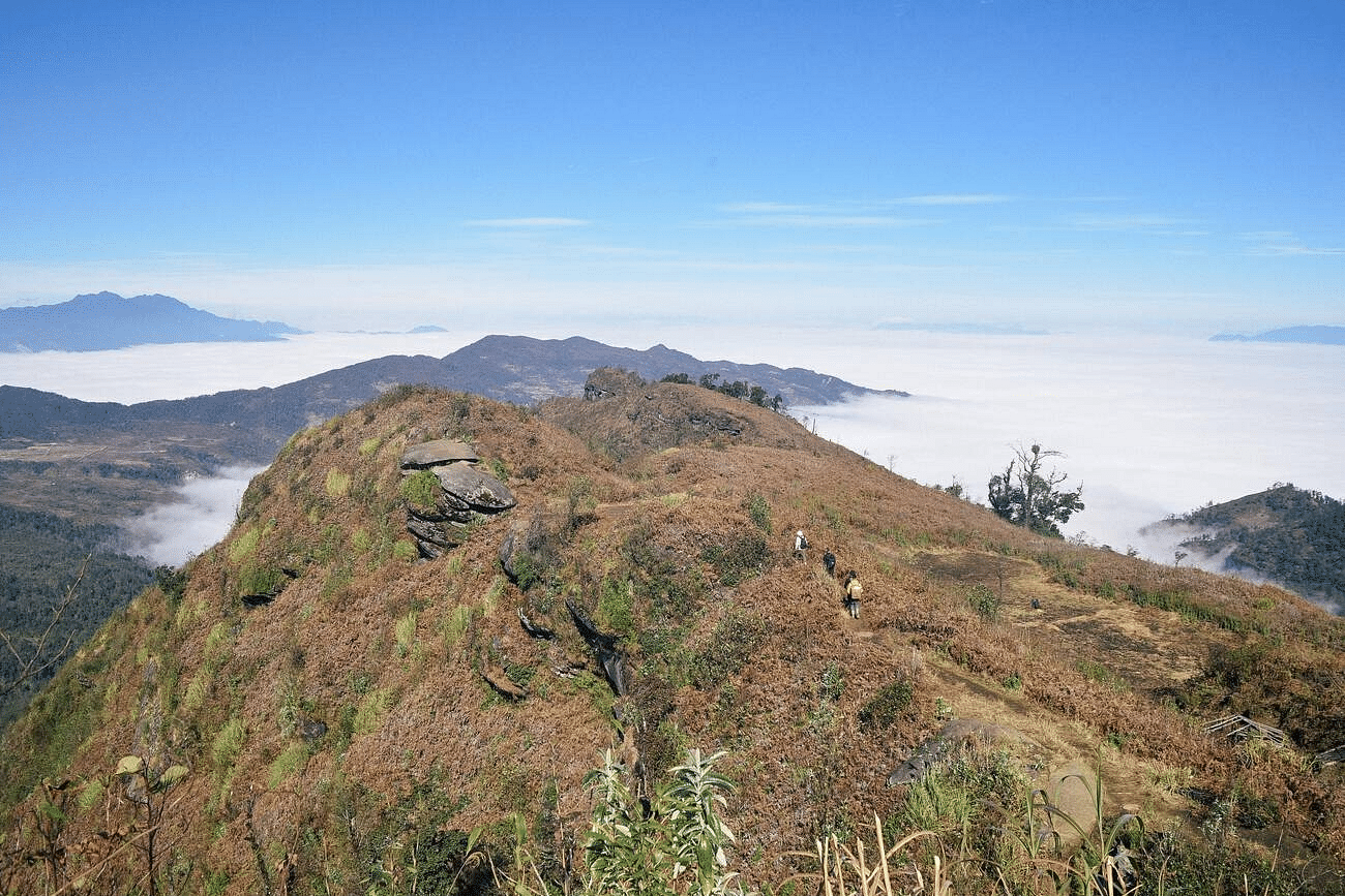 blog-images