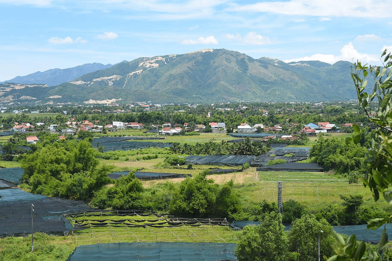 blog-images