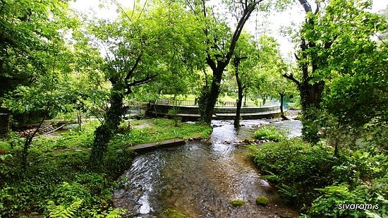 blog-images