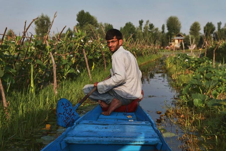 floating-gardens-in-dal-lake-kashmir