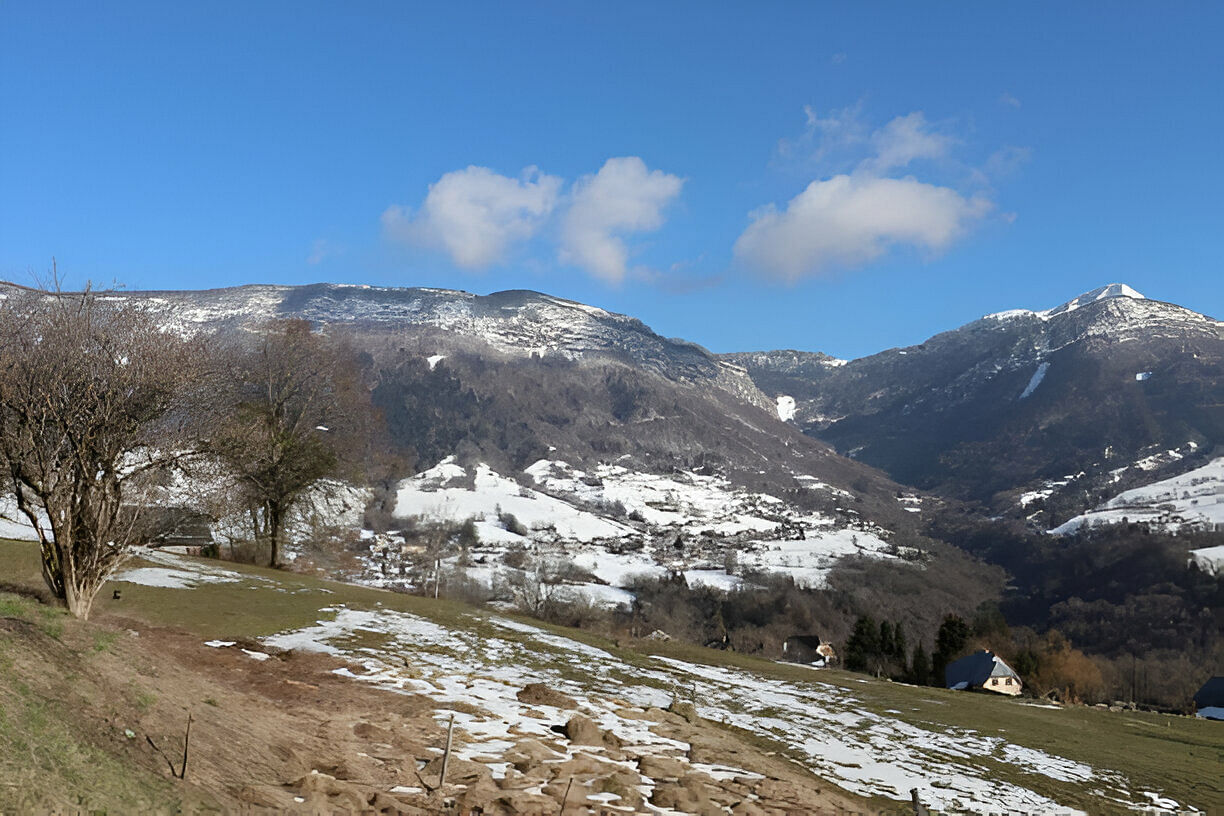 blog-images