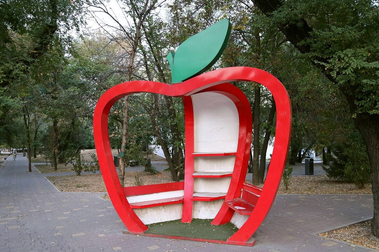 blog-images