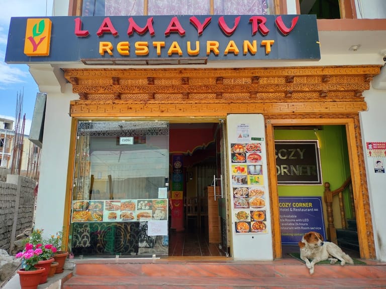 lamayuru-restaurant-leh-ladakh
