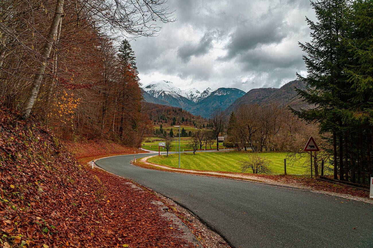 blog-images