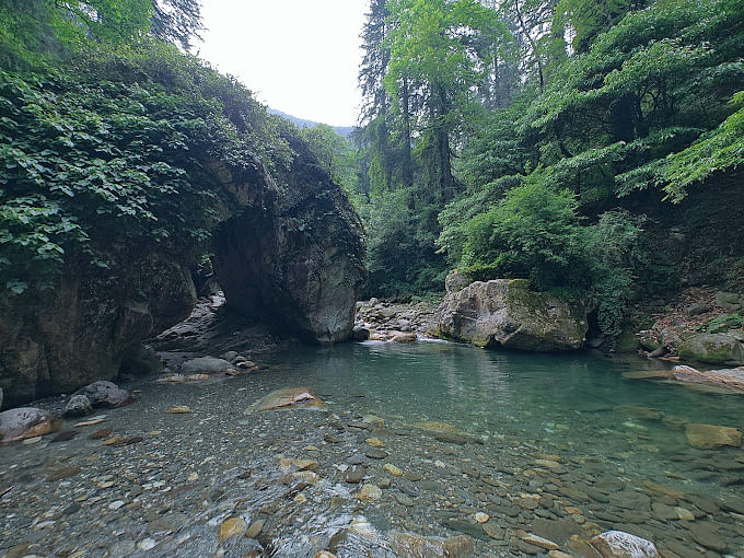 blog-images