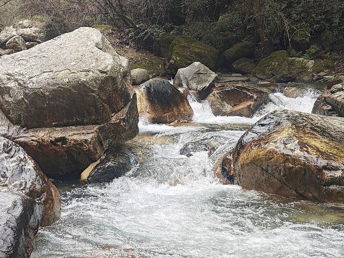 blog-images
