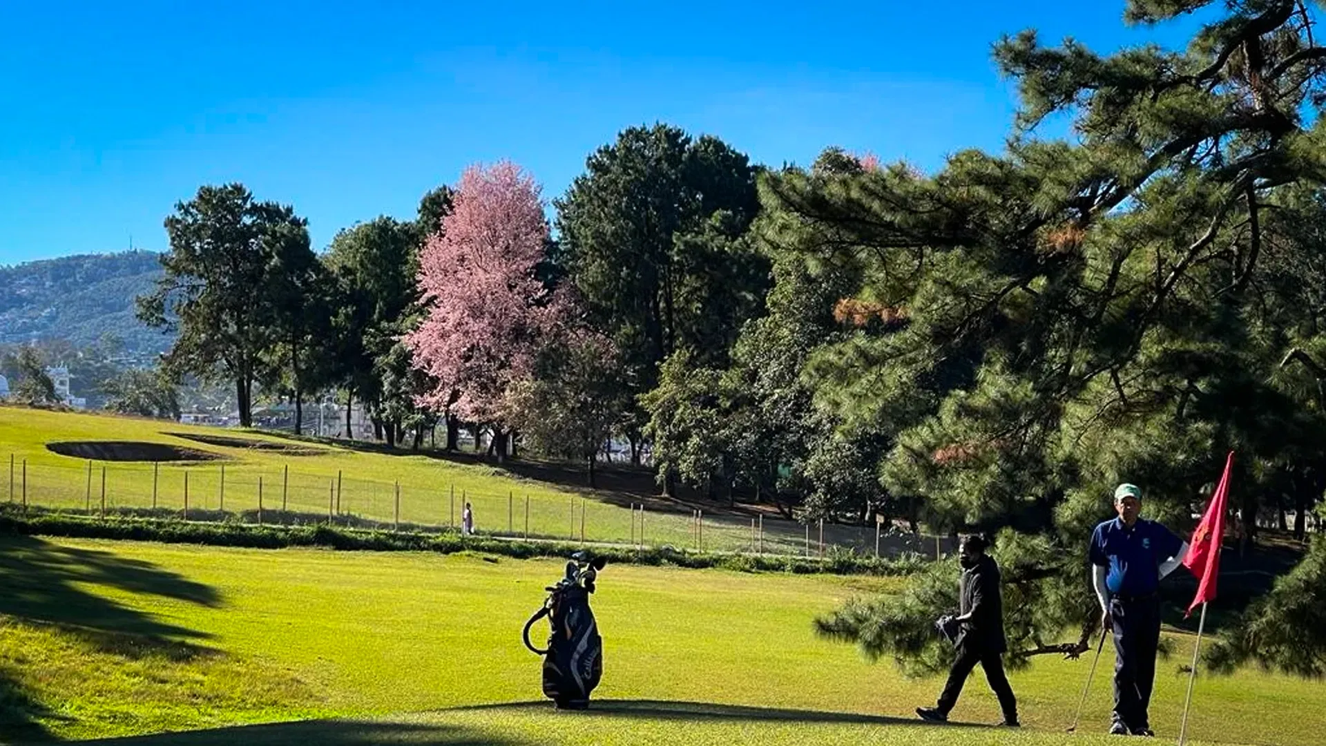 Golfing
