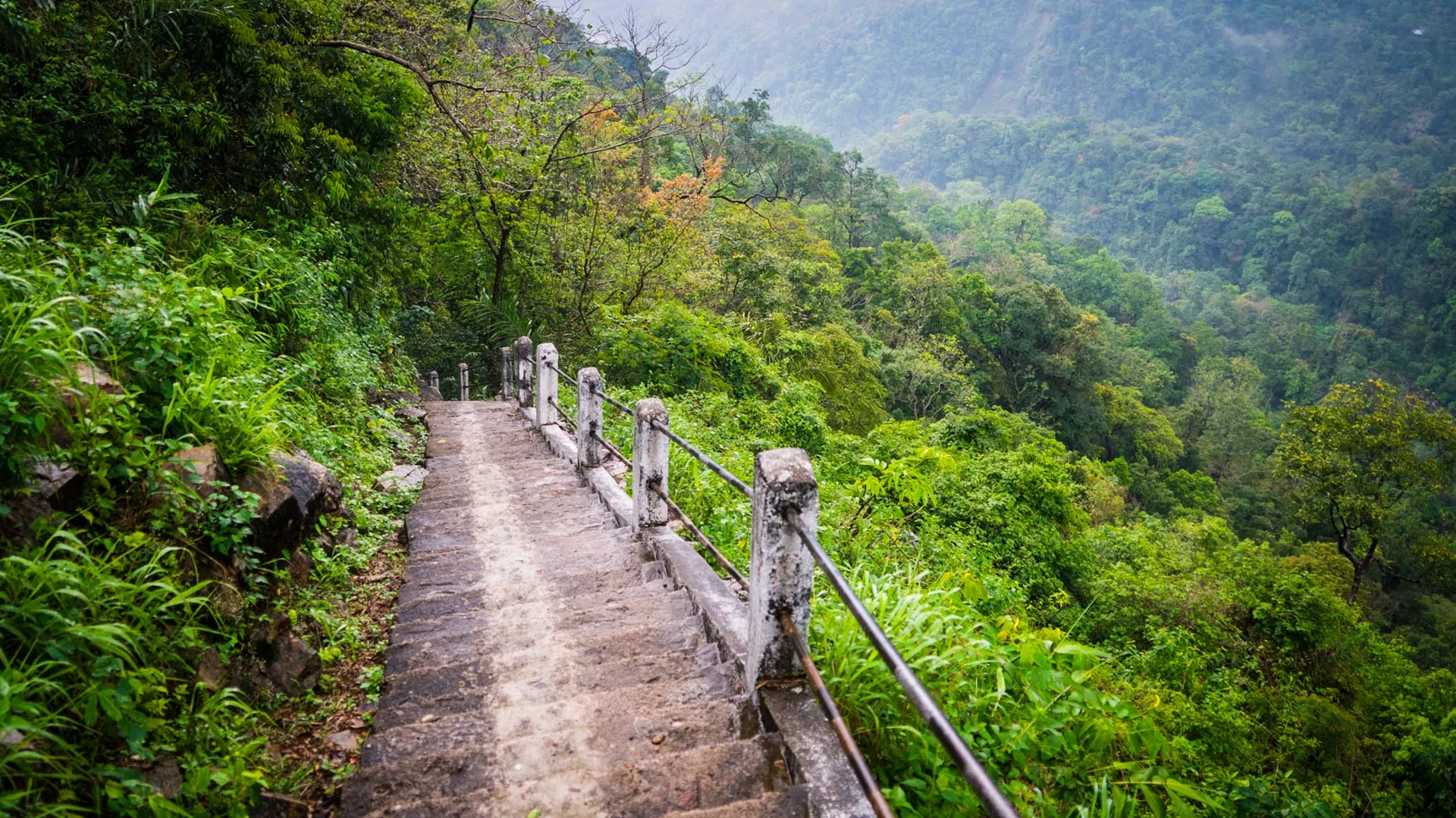 Trekking