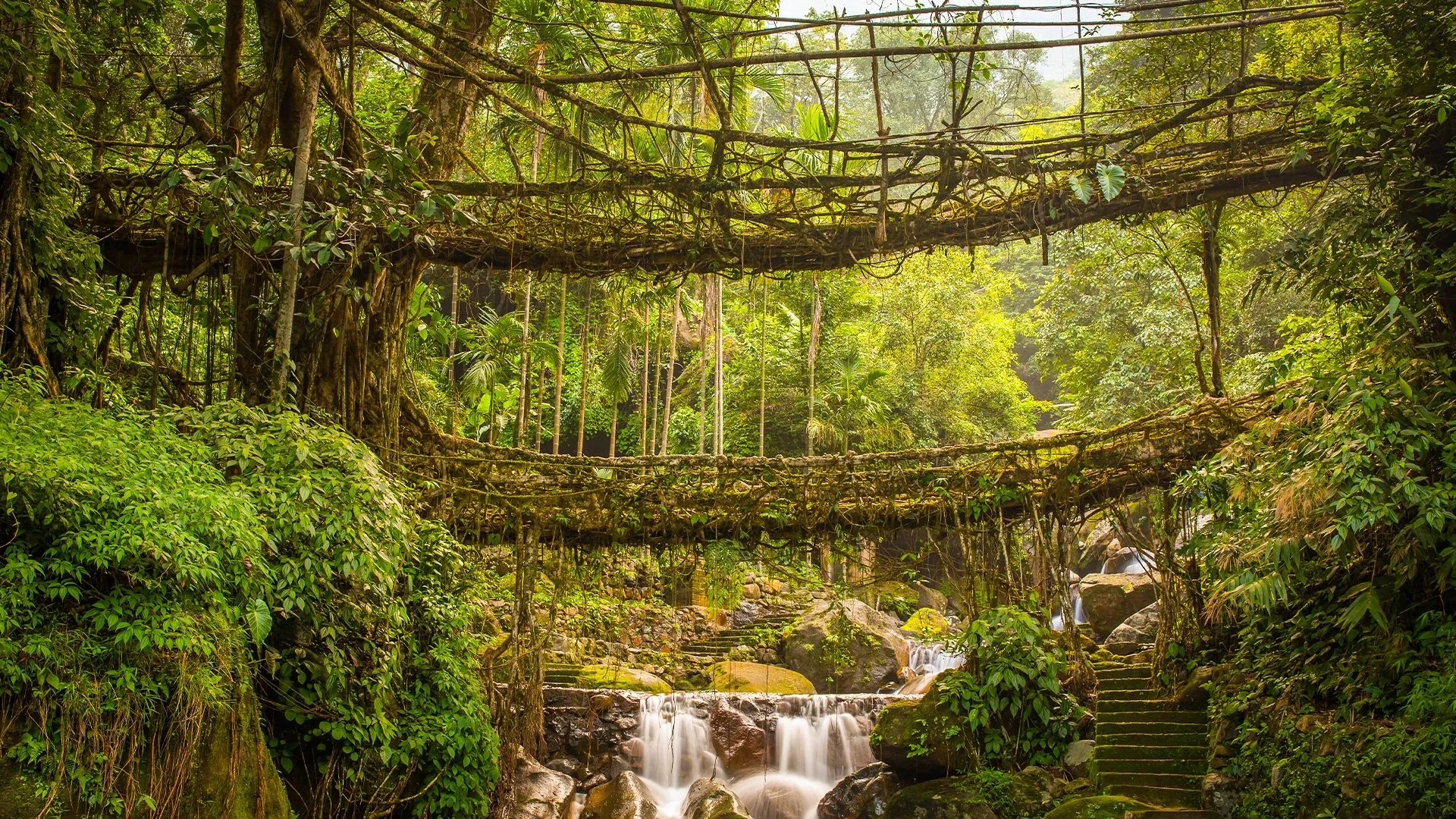 Double-decker Living Root Bridge