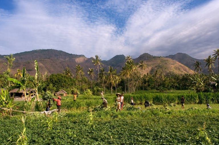 villages-in-bali