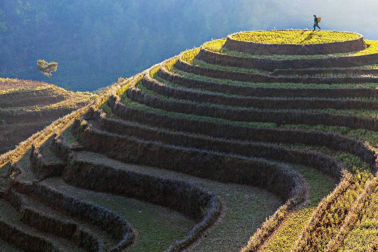 sapa-rice-terraces-vietnam