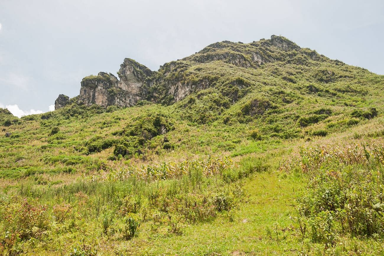 blog-images