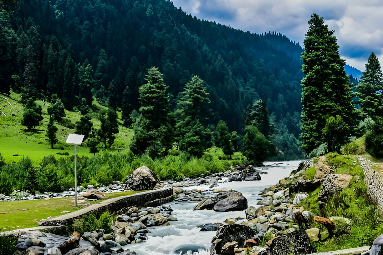 blog-images