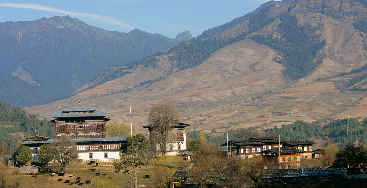 blog-images