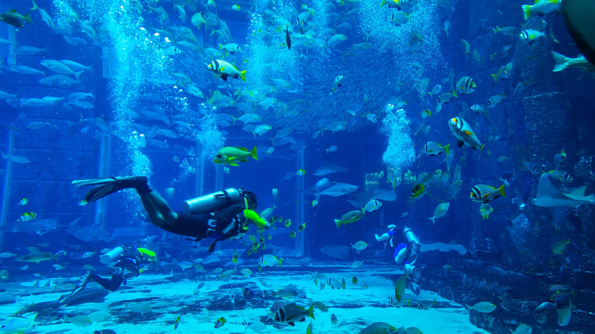Scuba Diving