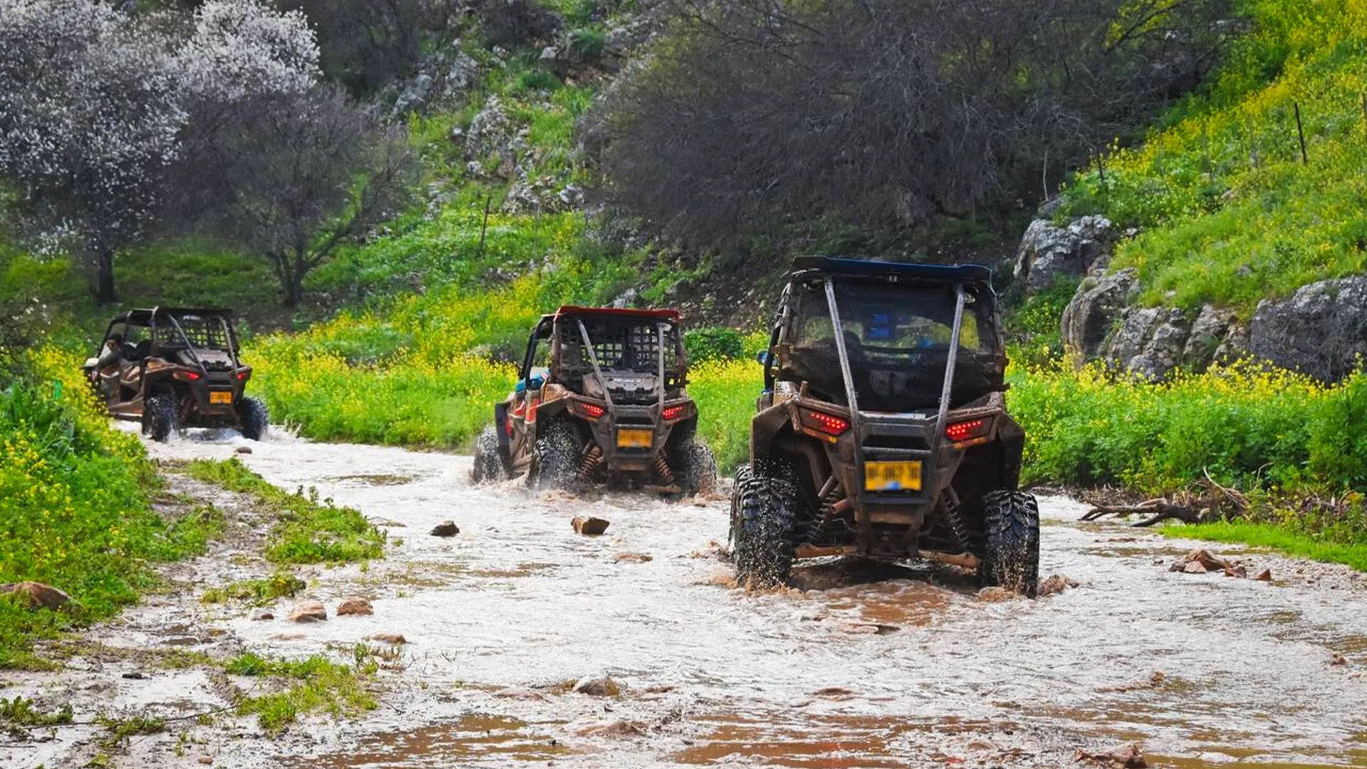 ATV Ride