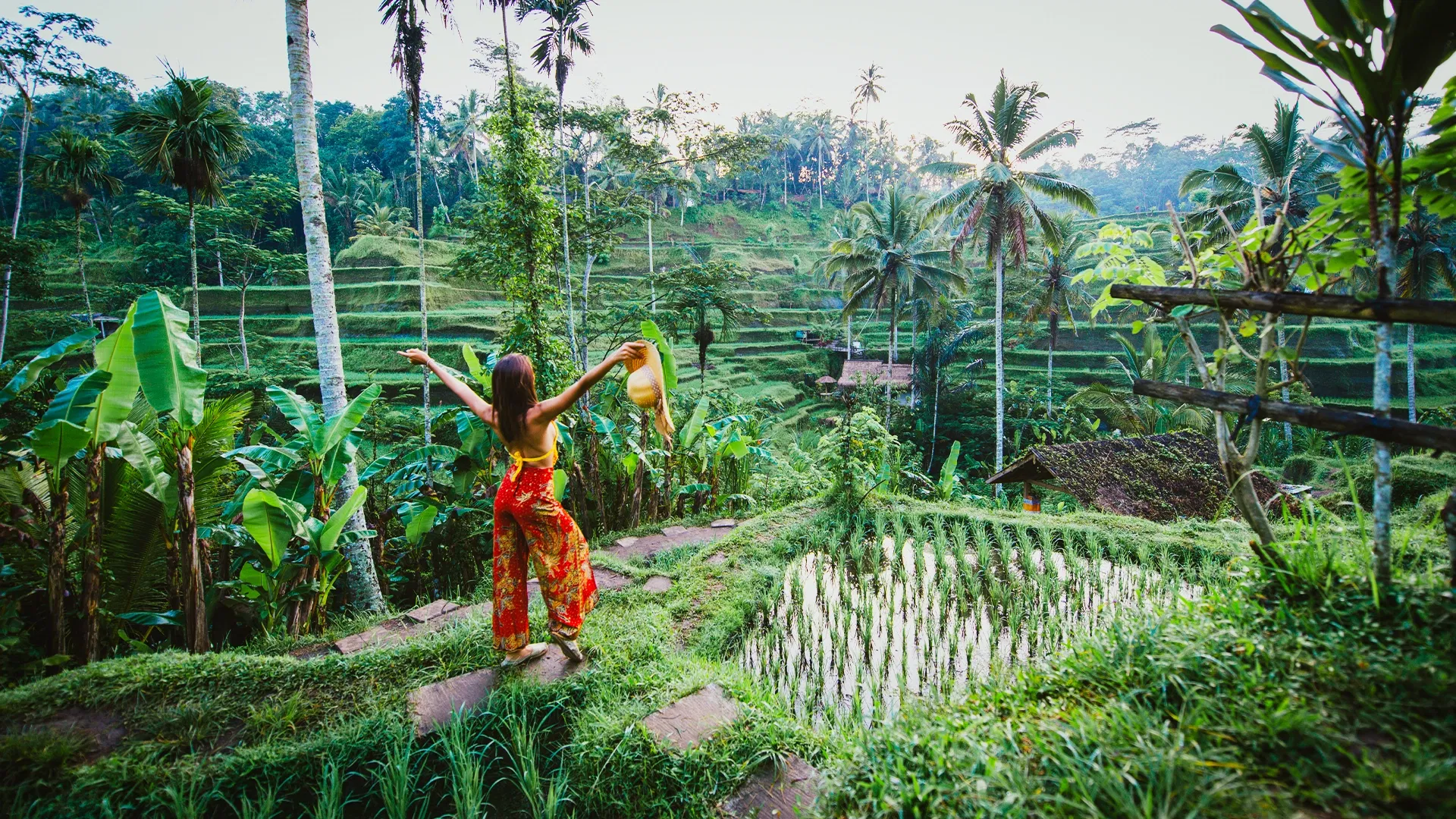 Tegalalang Rice Terraces