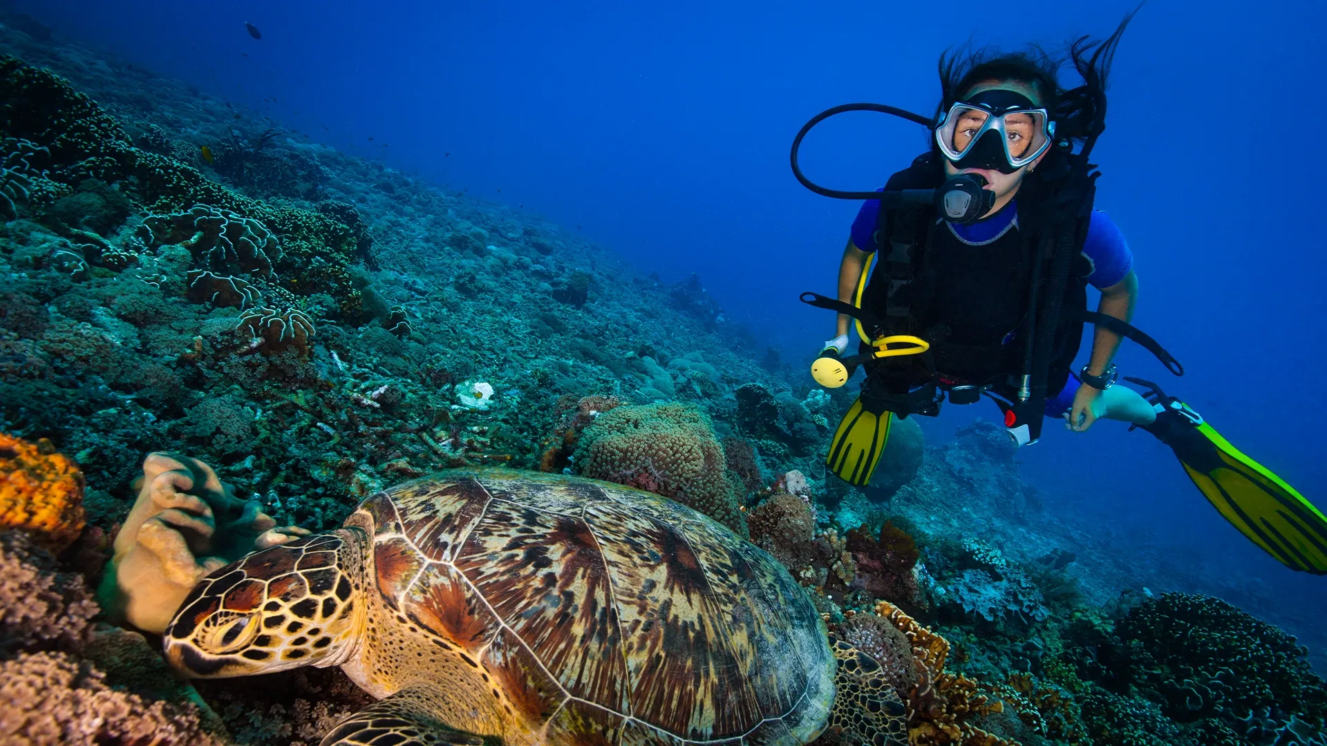Scuba Diving