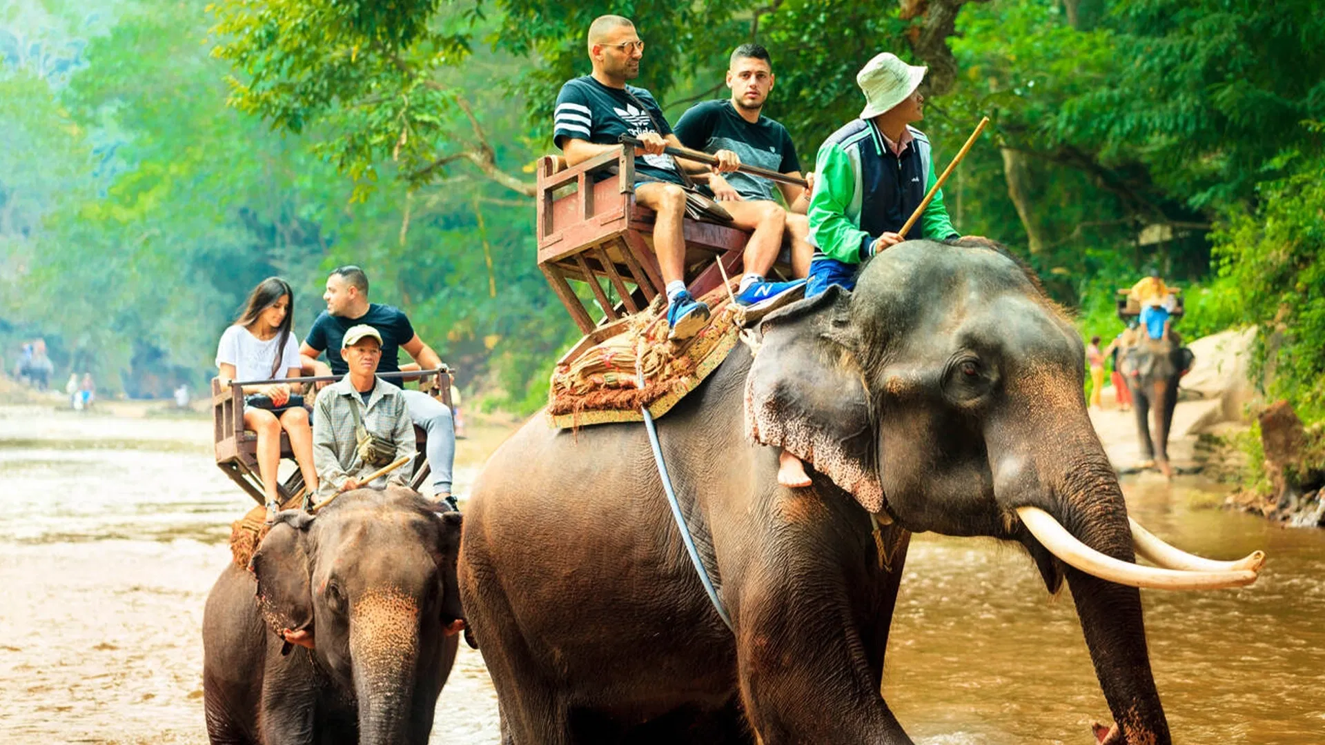 Elephant Trekking