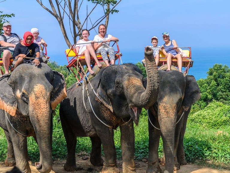 elephant-trekking-in-thailand