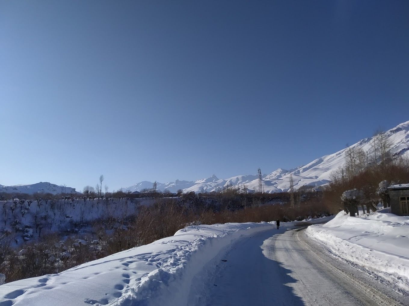 blog-images